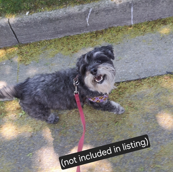 Glamorise 46D front closure underwire bra New, White - Picture 8 of 8